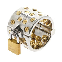 Upgrade your program with our new beta version stainless steel. This premium metal lockup offers adjustable schedule features, ensuring total control and enhanced pleasure.