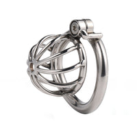 Kneel before your domina and embrace the brutal weight of this silver stainless steel cage. Perfect for intense sessions, its discreet design ensures even your neighbor won't notice a thing.