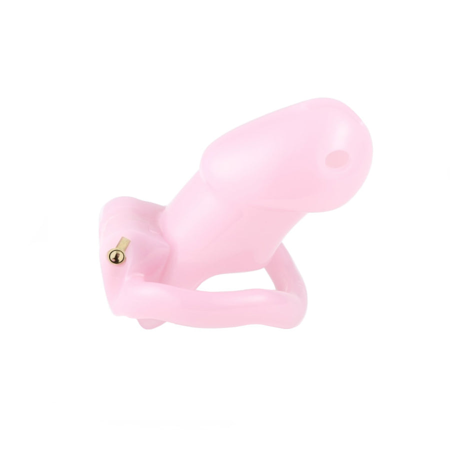 Resin Holy Trainer Chastity Device V2