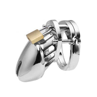 Experience enhanced intimacy and trust with our stainless steel cock, perfect for the small male exploring new perspectives in domination and submission. This secure might just help you share deeper connections within your community.
