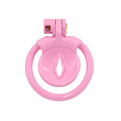 Enhance your feminine allure with our flat pink mesh cage, designed for ultimate discretion and comfort. Its innovative inverted penis design ensures a smooth silhouette under any skirt or dress. Pair it with your favorite bra, black stockings, and heels to complete your transformation. Embrace confidence and elegance with this essential addition to your wardrobe.
