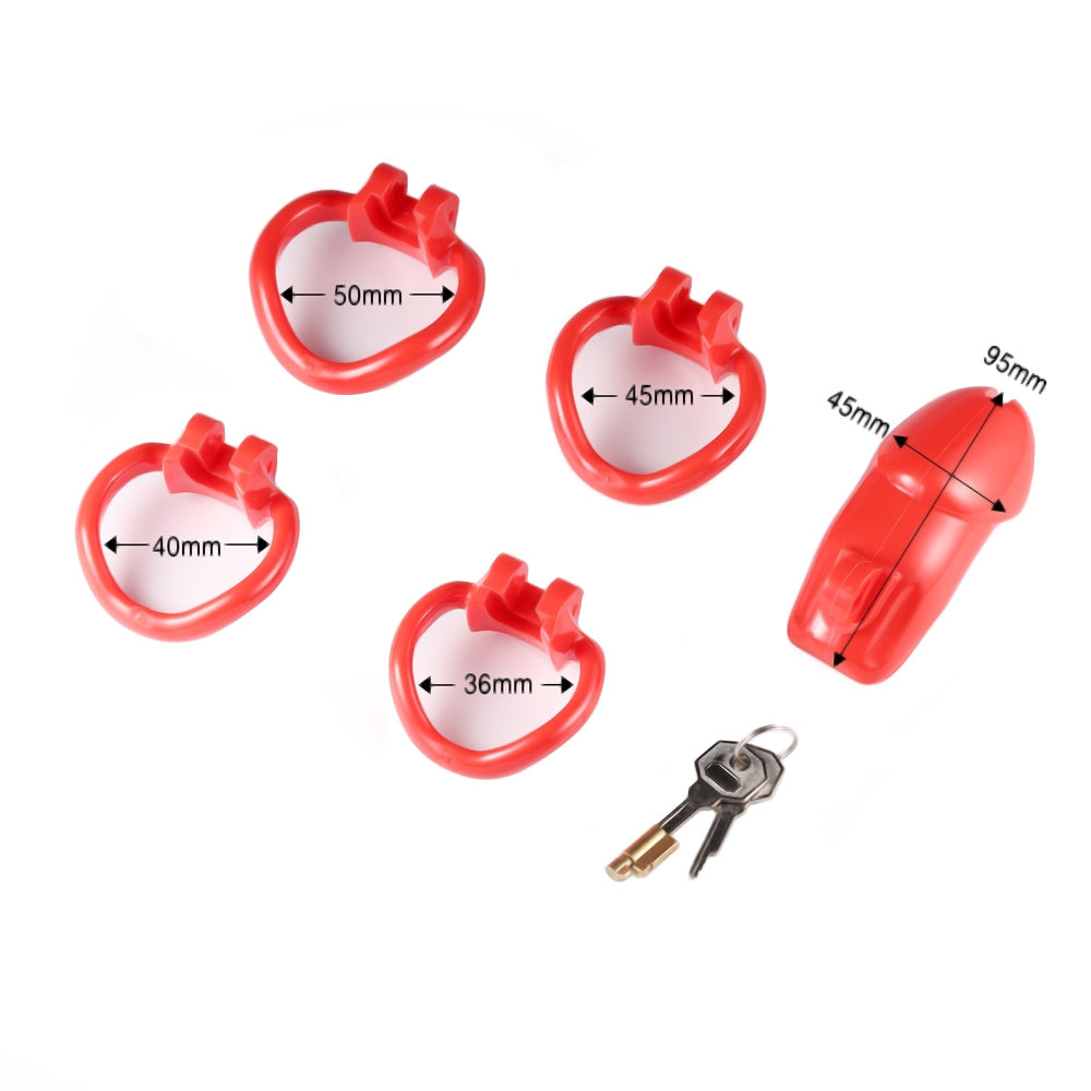 Resin Holy Trainer Chastity Device V2