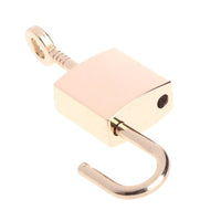 Premium Polished Finish Padlock